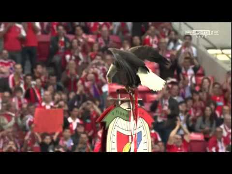 Eagle Vitória from Benfica in Stadium of Light