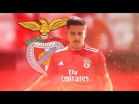 Bernardo Martins 2018/19 ● Welcome to SL Benfica? – Leixões SC