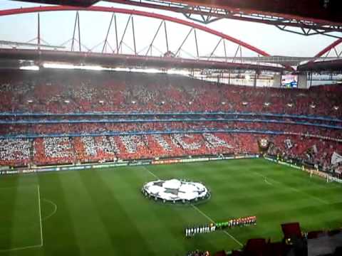 Champions League @ Estádio da Luz – S. L. Benfica vs Manchester United (14/09/2011)