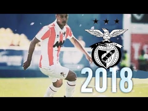 Bernardo Martins 2018/19 ● Welcome to SL Benfica? | Goals, Passes and Skills at Leixões SC