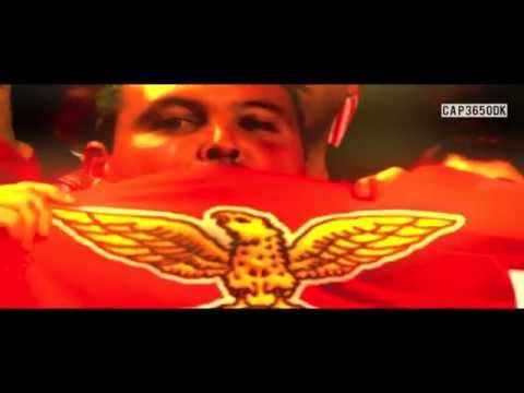 Best of S.L. Benfica