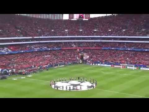 Benfica Fans Singing So Amazing