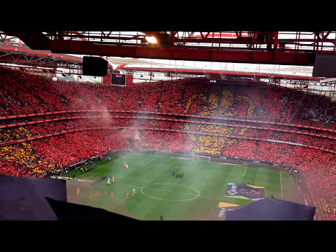 Benfica fans magnificent choreography + singing team's anthem.
