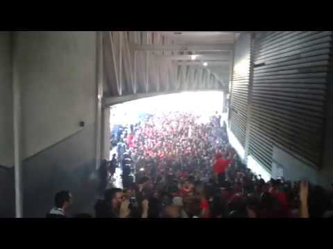 BENFICA | Como ao Benfica nunca Houve !!! | No Name Boys | Porto 1-1 Benfica