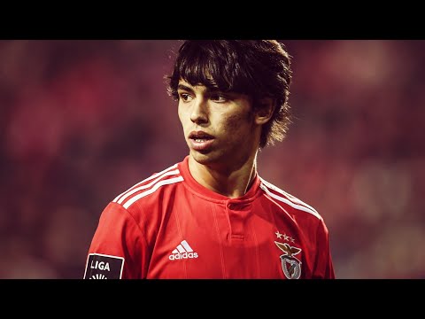 João Félix ● "The New Rui Costa" | Skills, Goals and Assists – SL Benfica 2018-19