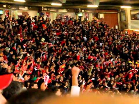 Manchester United x Benfica UEFA Champiosn League Chanting.