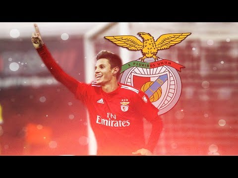 Tiago Dantas 2018/19 ● "Future Star" – SL Benfica