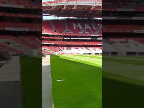 Im in Benficas stadium (Stadium of light) Benfica e fixe!
