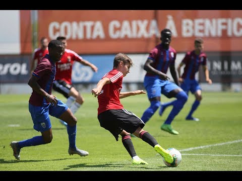 GOLOS: Jogo de treino entre o SL Benfica e o Cova da Piedade