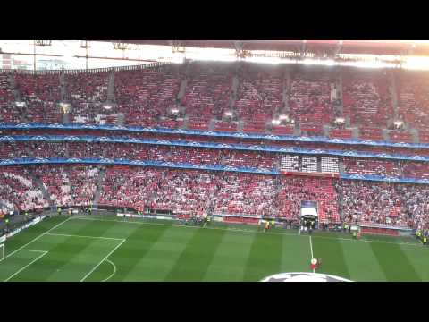 Águia Estádio da Luz Benfica vs Chelsea