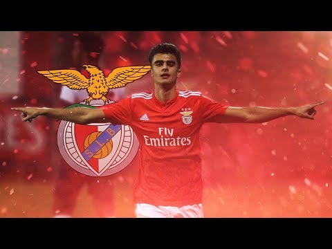 João Felipe 'JOTA'  2018/19 ● "The Future" – SL Benfica