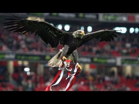 S.L. Benfica vs C.S.K.A. MOSKVA (1-2 Champions) -Voo da águia
