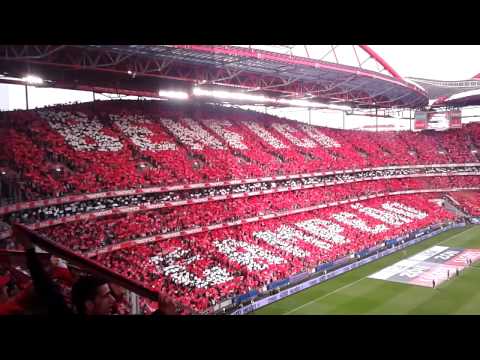 SL Benfica vs Sporting CP – Coreografia Inicial (NÓS SÓ QUEREMOS BENFICA CAMPEÃO)