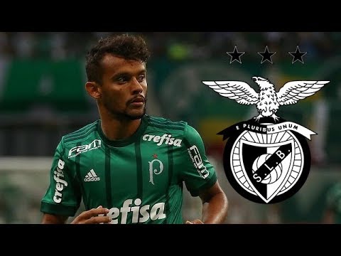 Gustavo Scarpa ● Welcome To SL Benfica? | Fluminense