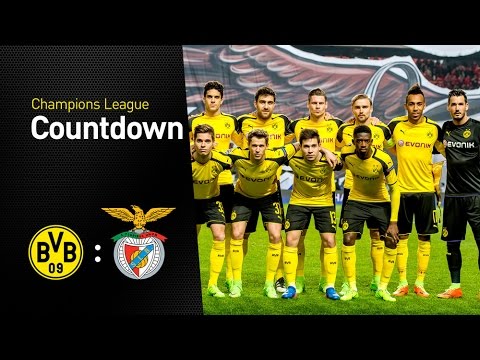 Countdown: Borussia Dortmund – SL Benfica | BVB – SL Benfica