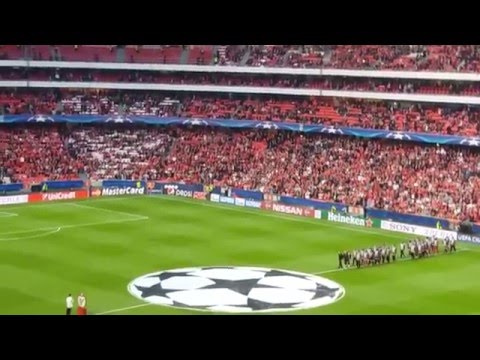 Voo da águia vitória | SL Benfica – Bayern Munchen | Champions League