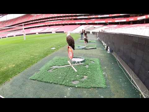 Benfica Football Club Stadium Tour, Lisbon, Portugal || A GoPro Venture|| 1080p