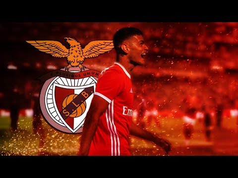 Gianluca Scamacca 2019/20 ● Welcome to SL Benfica?