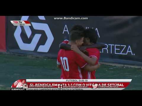 Juniores: SL Benfica 1-1 V. Setúbal