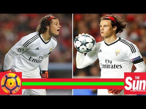 Mile svilar becomes youngest goalkeeper in champions league history by making benfica debut against
